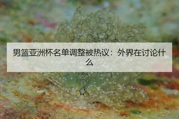 男篮亚洲杯名单调整被热议：外界在讨论什么 - leyu